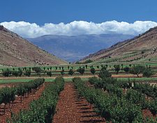 Bekaa Valley