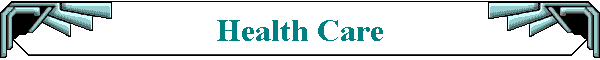 Health Care